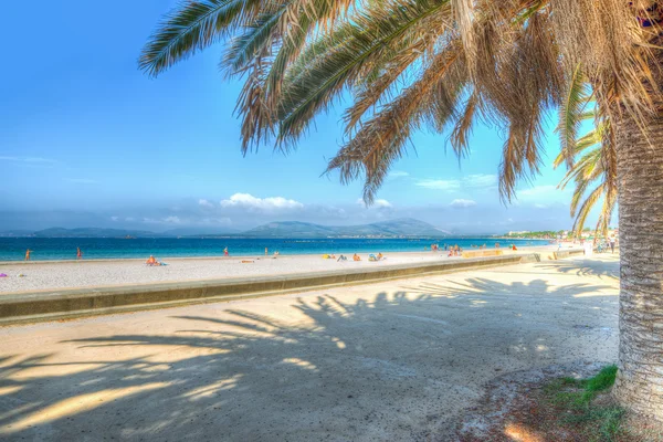 Frente al mar de Alghero —  Fotos de Stock