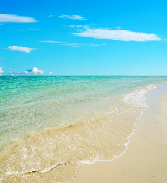 Foreshore under clouds — Stock Photo, Image