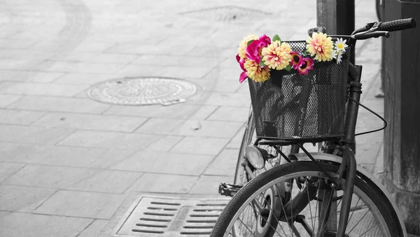 Selektivní desaturation staré kolo s květinami v košíku — Stock fotografie