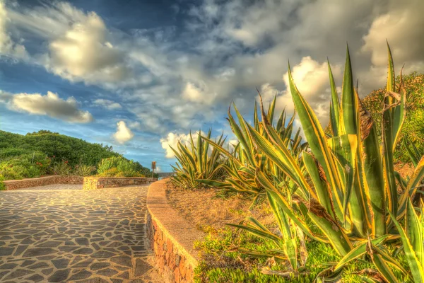 Pasarela hdr — Foto de Stock