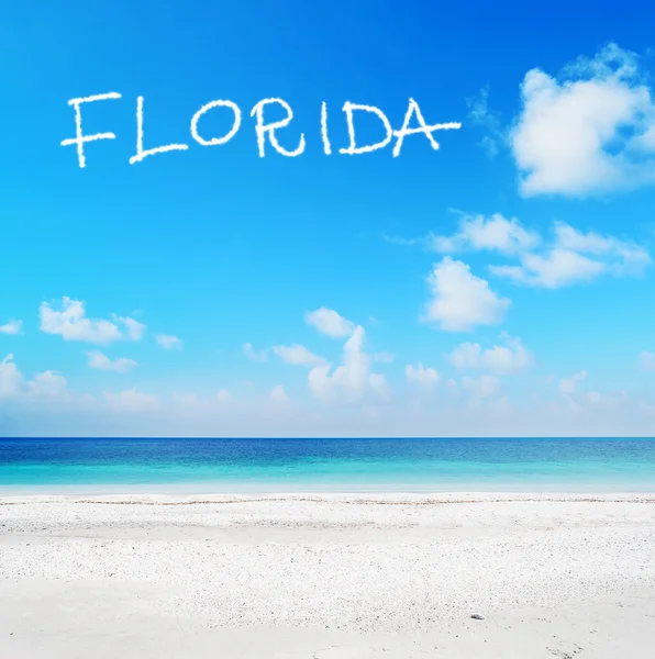 Florida schreiben — Stockfoto