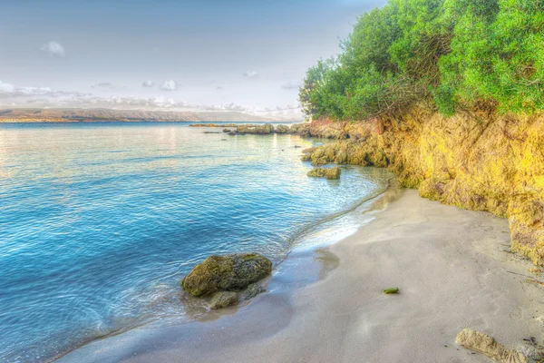 Sziklák és a növények Lazzareto Beach — Stock Fotó