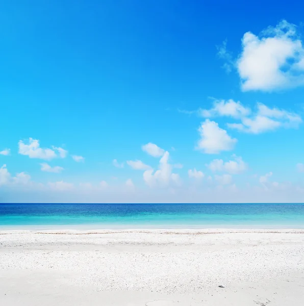 Plage de Stintino par temps clair — Photo