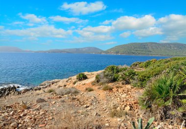 Bir Porto Conte sahil hattı