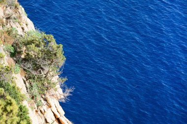 sahile tarafından bush