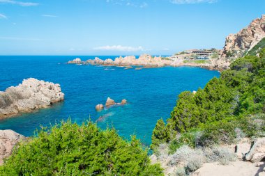 çalılar ve Costa Paradiso kayalarda
