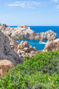Yeşil çalılar ve Costa Paradiso kayalarda