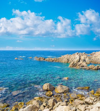 Mavi Gökyüzü bulutlu kıyı üzerinde