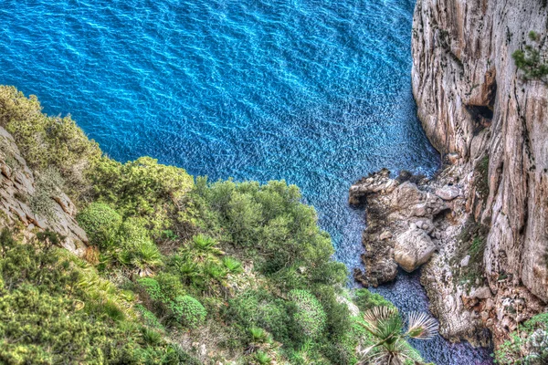 Capo Caccia brzegu ze skał i roślin — Zdjęcie stockowe