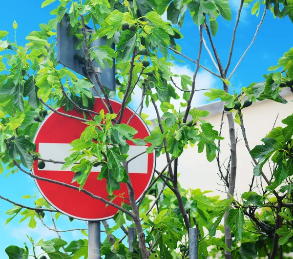 Do not enter sign — Stock Photo, Image