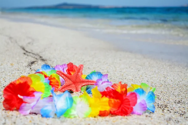 Starfish and necklace by the shore — Stock Photo, Image