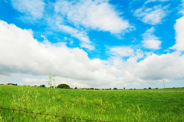 Green meadow under a cloudy sky — Zdjęcie stockowe