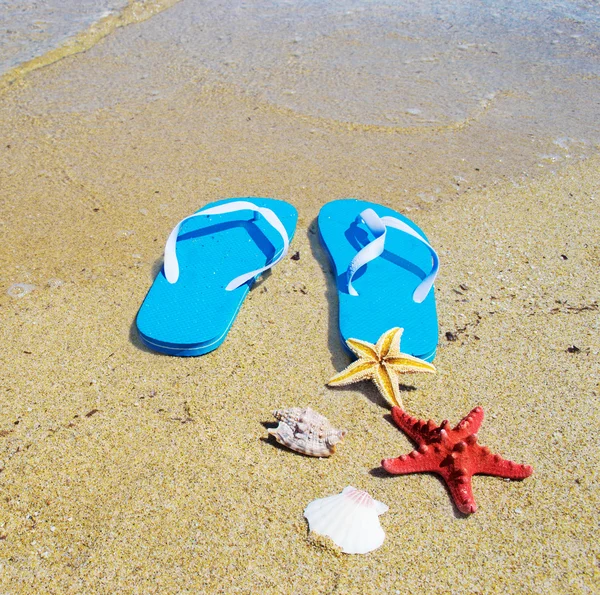 Chanclas y estrellas de mar junto al mar — Foto de Stock