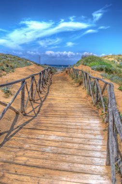 Sahile giden yol.