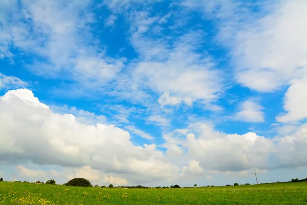 Prado verde bajo un cielo pintoresco —  Fotos de Stock