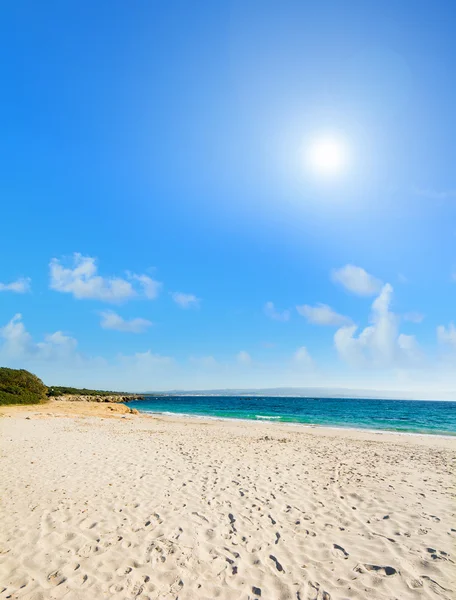 Lazzaretto strand onder een stralende zon — Stockfoto