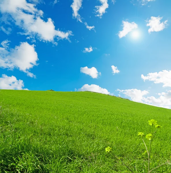 Colina verde bajo un cielo azul en Cerdeña —  Fotos de Stock