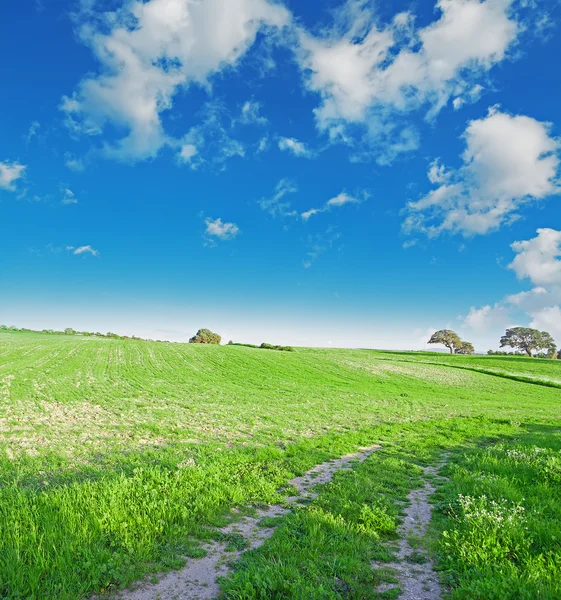 青い空の下に緑の草原 — ストック写真