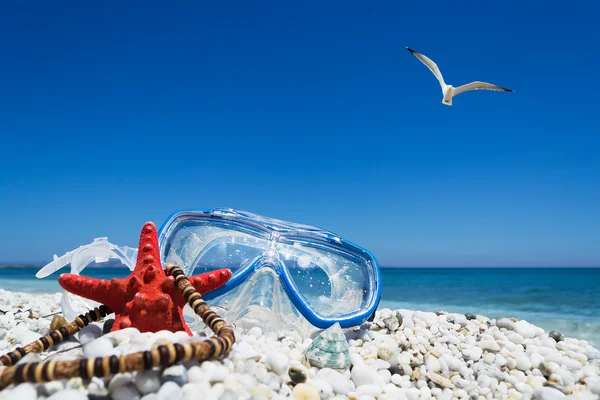 Diving mask under a flying seagull — Stock Photo, Image