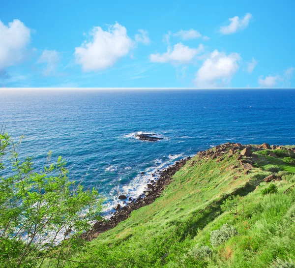 Green shore in Castelsardo — Stock Photo, Image