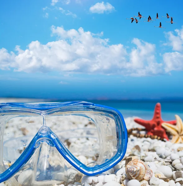 Diving mask and starfish under a flock of flamingos — Stock Photo, Image