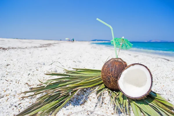 Noix de coco et branches de palmier sur cailloux blancs — Photo