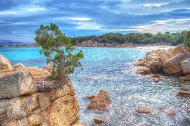 capriccioli plaj dramatik gökyüzü altında