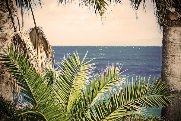Tropische Pflanzen mit blauem Meer im Hintergrund. Jahrgangseffekt — Stockfoto