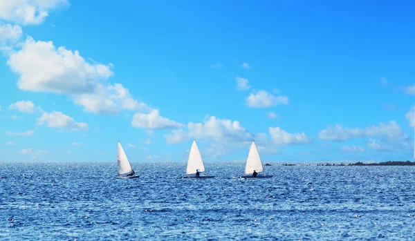 Tre små segelbåtar under moln — Stockfoto