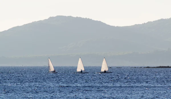 Tre små segelbåtar — Stockfoto