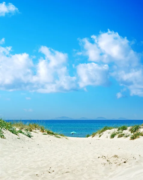 Beach umbrella alone under the blue sky — Stock Photo, Image