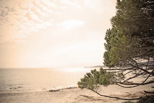 Le Bombarde beach i vintage effekt — Stockfoto