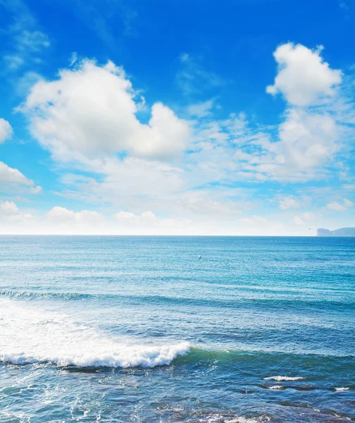 カーポ ・ カッチャとアルゲーロの波を背景に — ストック写真
