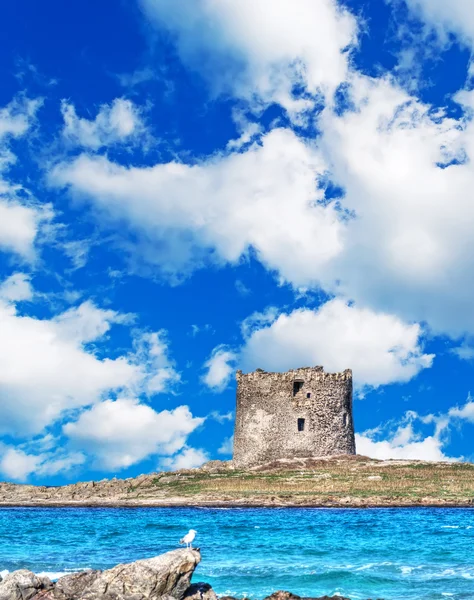 Clouds over Stintino tower in hdr — Stock Photo, Image