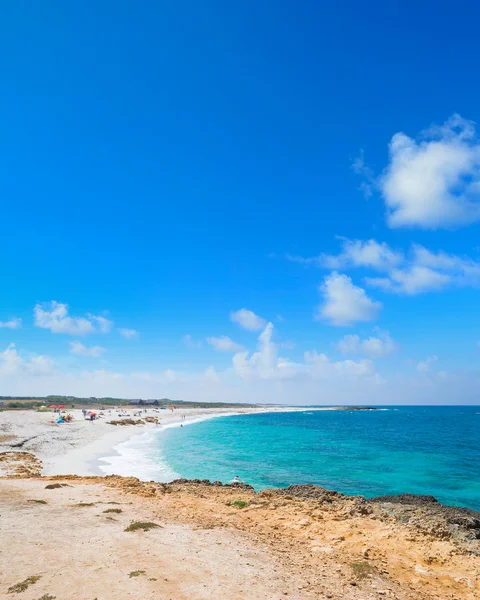 Arutas plaj açık yaz gününde olduğunu — Stok fotoğraf