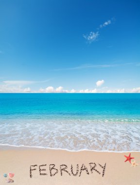 Şubat'ta bir tropikal plaj