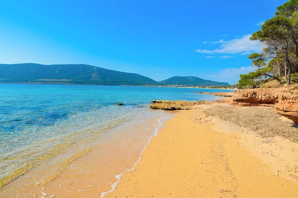 Plaża Mugoni pod niebo jasne — Zdjęcie stockowe