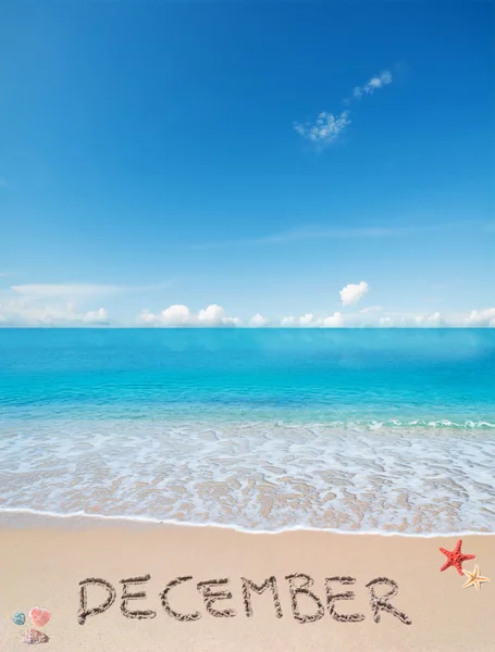 Dezembro em uma praia tropical sob nuvens — Fotografia de Stock