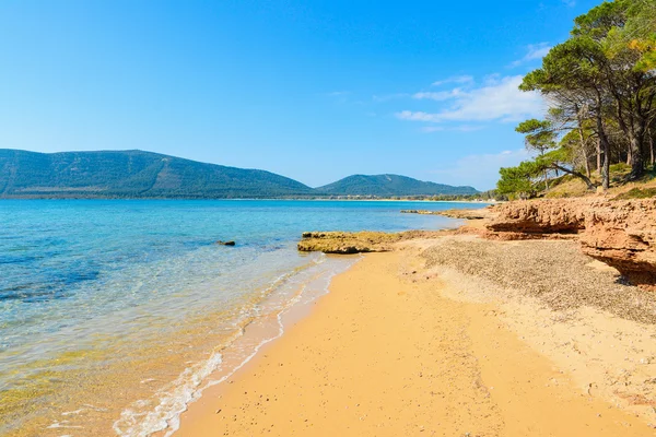 A tiszta tavasz Mugoni beach — Stock Fotó