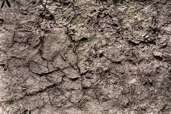 Close up of dry soil in hdr — Stock Photo, Image