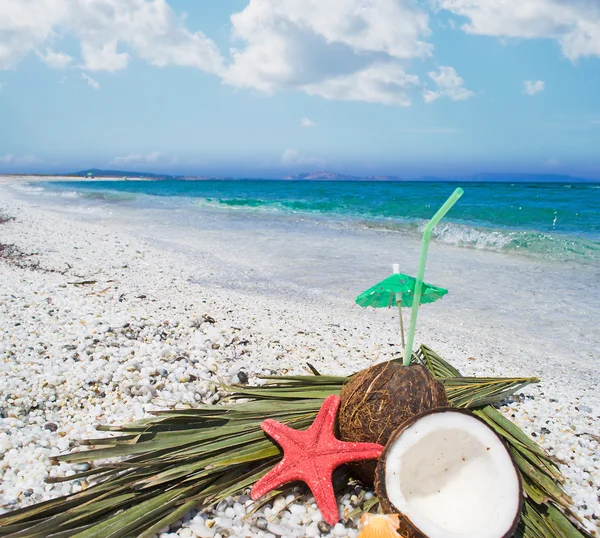 Coconut halves by the sea — Stock Photo, Image