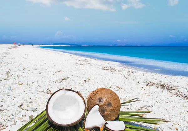 Metà cocco su foglie di palma — Foto Stock