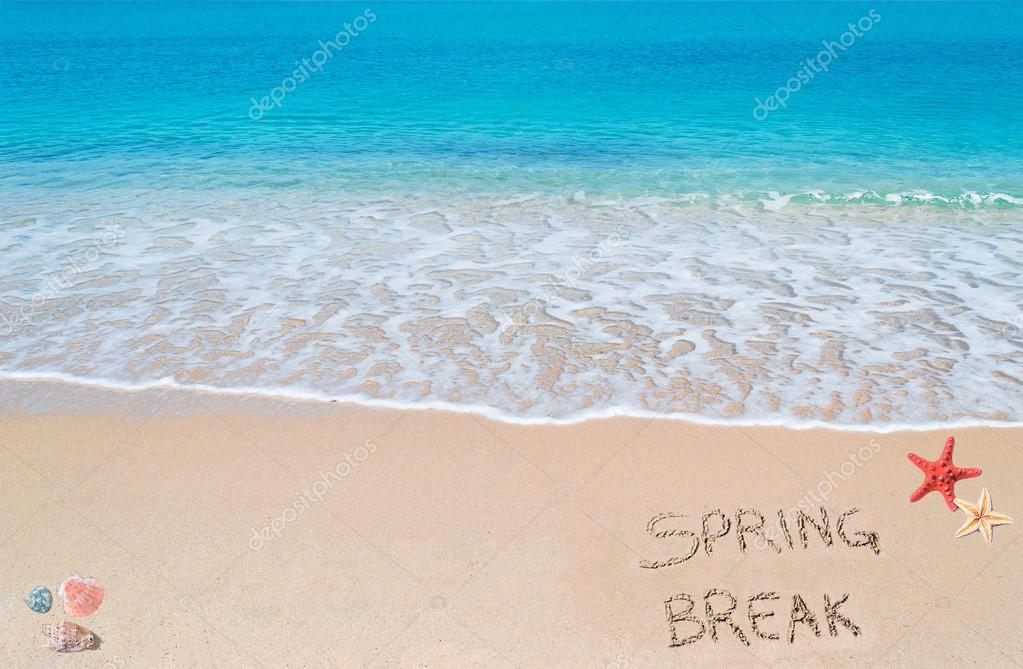 30000 Spring Break Pictures  Download Free Images on Unsplash