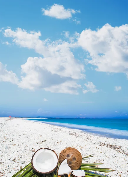 Kokosnusshälften auf Palmblättern — Stockfoto