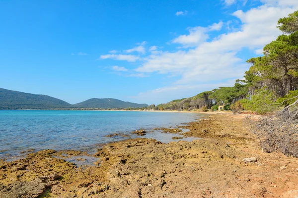 Cielo limpido sulla spiaggia di Mugoni — Foto Stock