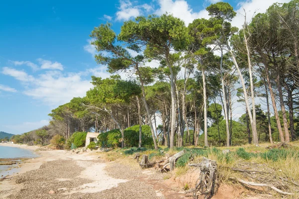 Mugoni beach på springtime — Stockfoto