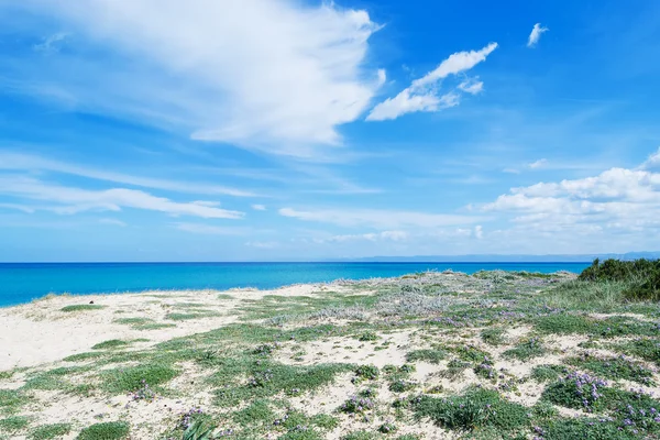 Fiume Santo shore on a cloudy spring day — Stock Photo, Image
