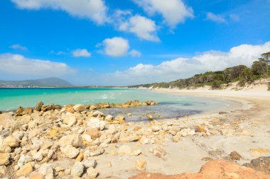 maria pia plaj sarı kayalarda