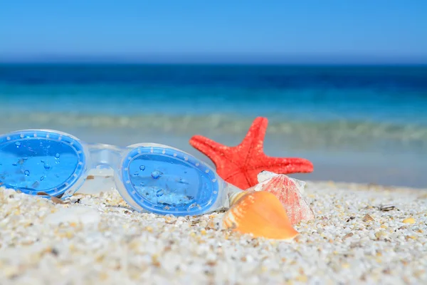 Brille und Muscheln im Sand — Stockfoto