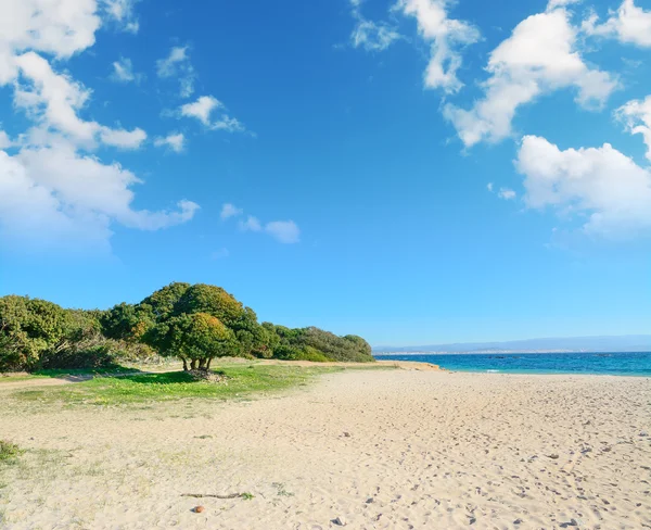 Lazzaretto beach en klar vårdag — Stockfoto